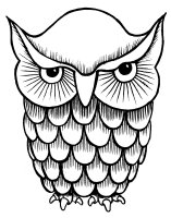 Owl Prints